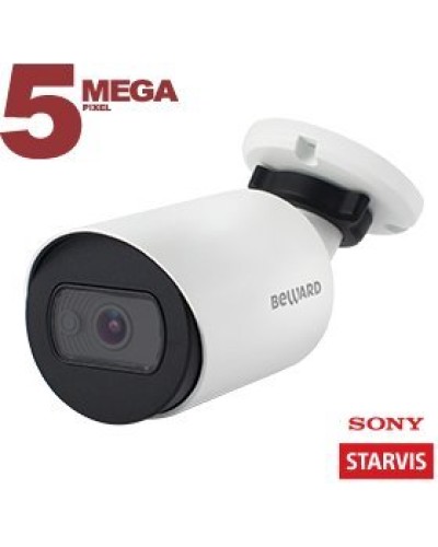 SV3210RC (3.6 мм). Видеокамера IP цилиндрическая. Beward в Курске