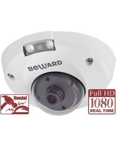 NK55630D8. IP-камера купольная. Beward в Курске
