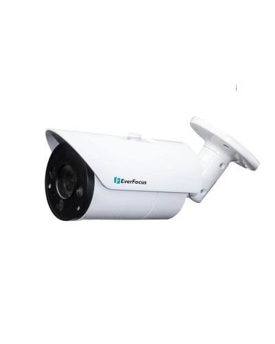 EZN-268V. Видеокамера IP купольная. EverFocus в Курске