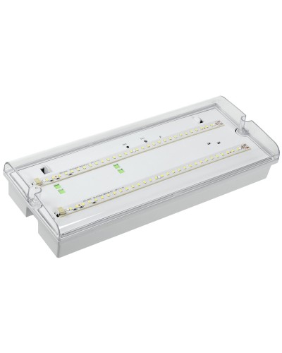 Светильник аварийный ДПА 5042-1 1ч IP65 LIGHTING (LDPA0-5042-1-65-K01). Светильник аварийный универсальный. IEK в Курске