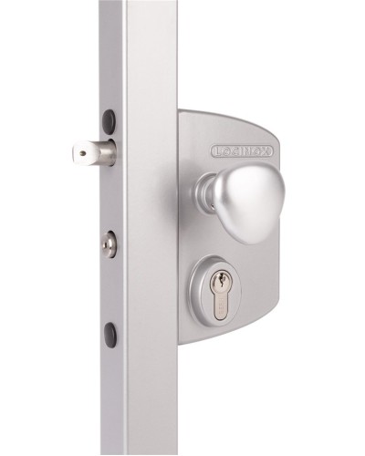 LIKQ4040 U2L (цвет: RAL 9005, черный). Замок электромеханический для калиток. Locinox в Курске