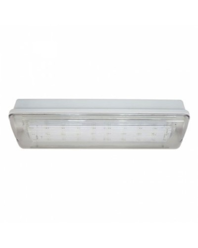 SL-223-30LED1.8 исп.1 IP54. Светильник аварийного освещения. ИП Раченков А.В. в Курске