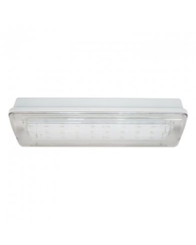 SL-223-30LED1.8 исп. 1, IP65. Светильник аварийного освещения. ИП Раченков А.В. в Курске